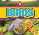 Image for Birds.: (All about spring)
