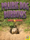 Image for Prairie dog burrows