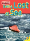 Image for Being lost at sea