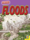 Image for Floods