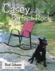 Image for Casey and the Perfect Rock.