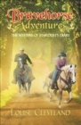Image for Brave Horse Adventures : The Mystery of Stardust&#39;s Diary
