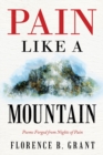 Image for Pain Like a Mountain : Poems Forged from Nights of Pain