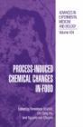 Image for Process-Induced Chemical Changes in Food