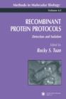 Image for Recombinant Protein Protocols