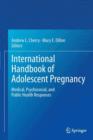 Image for International Handbook of Adolescent Pregnancy