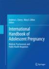 Image for International Handbook of Adolescent Pregnancy: Medical, Psychosocial, and Public Health Responses