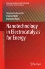 Image for Nanotechnology in Electrocatalysis for Energy
