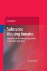 Image for Substance Abusing Inmates : Experiences of Recovering Drug Addicts on their Way Back Home