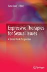 Image for Expressive Therapies for Sexual Issues : A Social Work Perspective