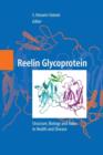 Image for Reelin Glycoprotein : Structure, Biology and Roles in Health and Disease