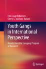 Image for Youth Gangs in International Perspective
