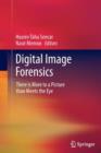 Image for Digital Image Forensics : There is More to a Picture than Meets the Eye