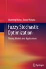 Image for Fuzzy Stochastic Optimization