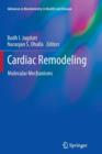 Image for Cardiac Remodeling