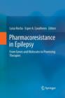 Image for Pharmacoresistance in Epilepsy : From Genes and Molecules to Promising Therapies