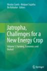 Image for Jatropha, Challenges for a New Energy Crop : Volume 1: Farming, Economics and Biofuel