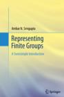 Image for Representing Finite Groups