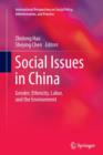 Image for Social issues in China  : gender, ethnicity, labor, and the environment