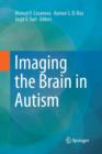 Image for Imaging the Brain in Autism