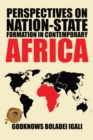 Image for Perspectives On Nation-state Formation in Contemporary Africa