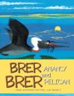 Image for Brer Anancy and Brer Pelican
