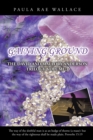 Image for Gaining Ground: The David and Mallory Anderson Trilogy: Volume 3