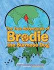 Image for The True Adventures of Brodie the Burmese Dog