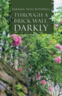Image for Through a Brick Wall, Darkly