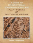 Image for A Guide to Pennsylvanian (Carboniferous) Age Plant Fossils of Southwest Virginia