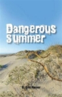 Image for Dangerous Summer