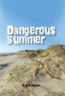 Image for Dangerous Summer