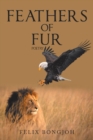 Image for Feathers of Fur