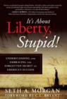 Image for It&#39;s about Liberty, Stupid! : Understanding and Embracing the Forgotten Secret to America&#39;s Success