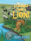 Image for Stronger Than a Lion!: The Adventures of David