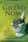 Image for Gilead Now : Ten Ingredients for Healing a Painful Past