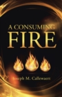 Image for Consuming Fire