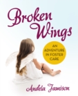Image for Broken Wings: An Adventure in Foster Care