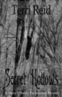 Image for Secret Hollows : A Mary O&#39;Reilly Paranormal Mystery - Book Seven