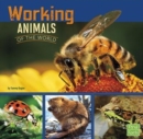 Image for Working Animals of the World (All About Animals)