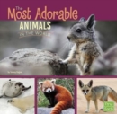 Image for Most Adorable Animals in the World