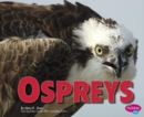 Image for Ospreys