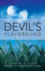 Image for The Devil&#39;s Playground : Book One of the Sapphire Staff Series