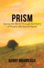 Image for Prism, Seeing the World Through the Hearts of People with Special Needs