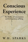 Image for Conscious Experience: The Reality of Consciousness and the Experience of Being