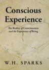 Image for Conscious Experience