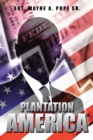 Image for Plantation America