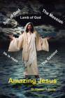 Image for Amazing Jesus
