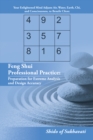 Image for Feng Shui Professional Practice: Preparation for Extreme Analysis and Design Accuracy