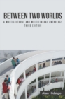 Image for Between Two Worlds: A Multicultural and Multilingual Anthology Third Edition